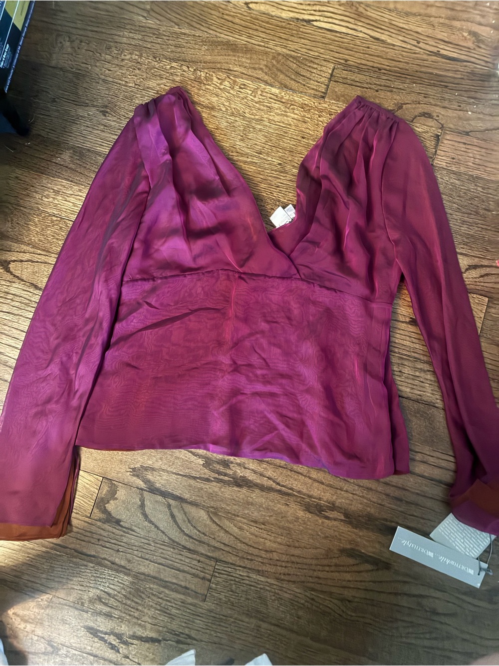NWT Worth Sheer SILK V-Neck Long Sleeve Blouse